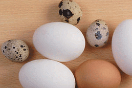 Яйца. Фундамент кулинарии